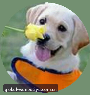 张芳