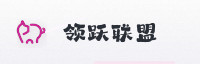 合作伙伴